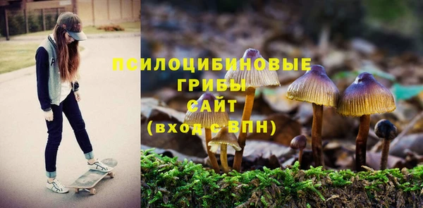 соль ск Карпинск