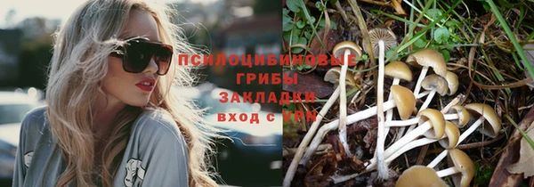 мяу мяу мука Каменск-Шахтинский